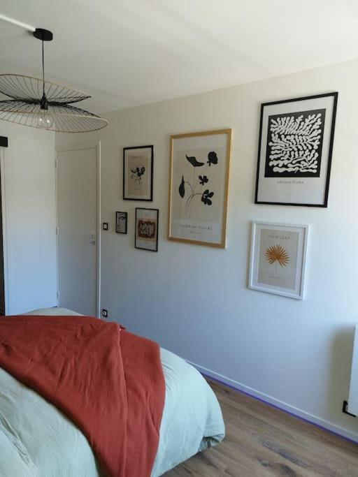 Appartement Au Coeur De Пампол Екстериор снимка